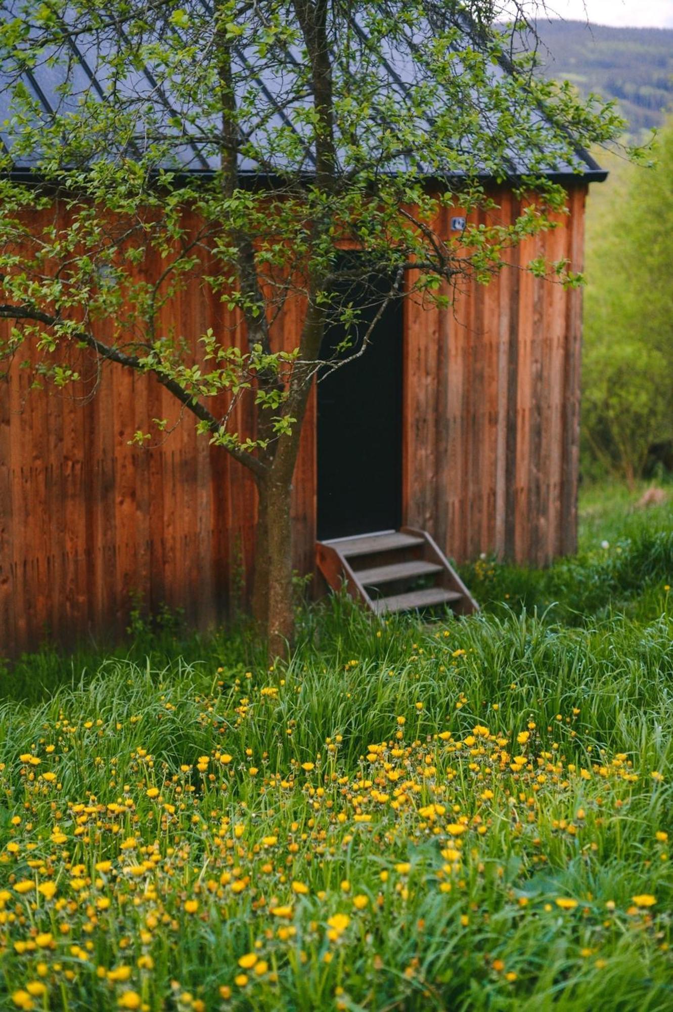 Tri Domky - Tiny Houses Depoltice المظهر الخارجي الصورة
